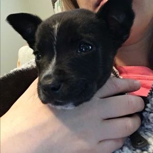 Meet your Posher, Lacey